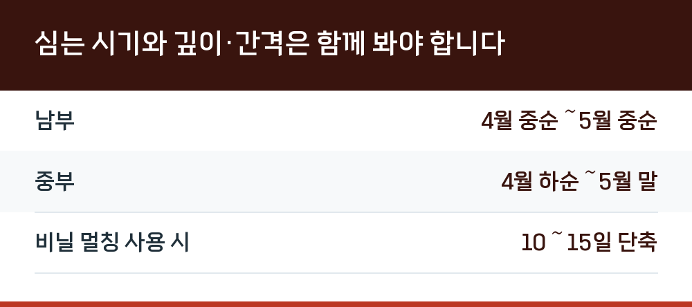 심는 시기와 깊이·간격은 함께 봐야 합니다