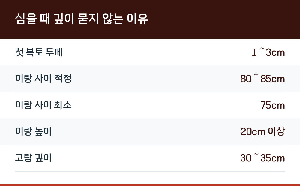 심을 때 깊이 묻지 않는 이유