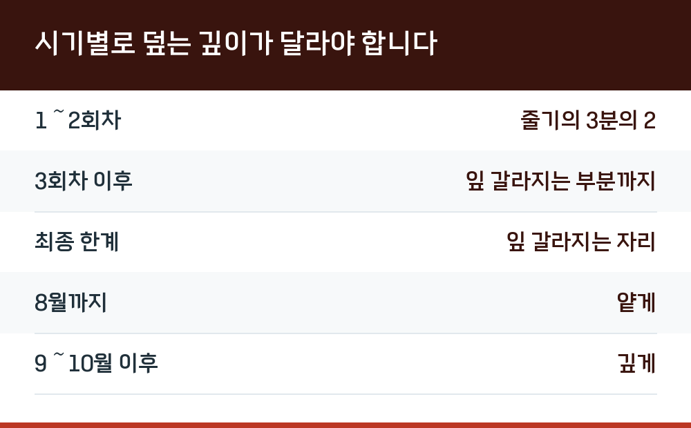 시기별로 덮는 깊이가 달라야 합니다