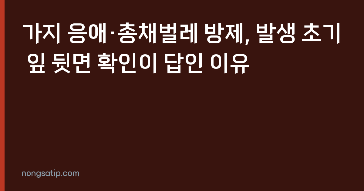 가지 응애·총채벌레 방제, 발생 초기 잎 뒷면 확인이 답인 이유