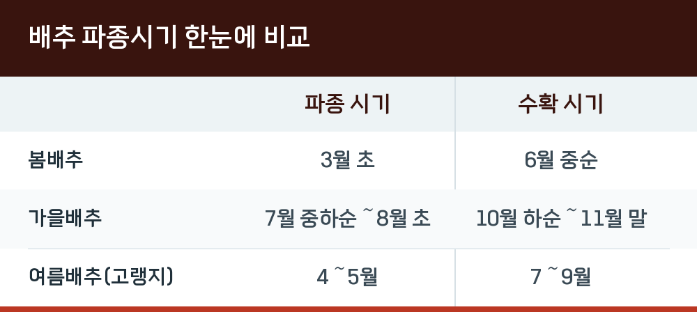 배추 파종시기 한눈에 비교