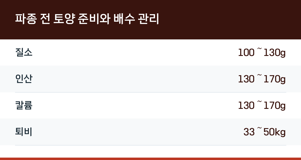 파종 전 토양 준비와 배수 관리