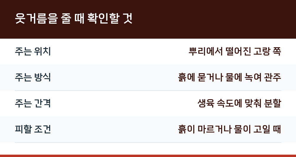웃거름을 줄 때 확인할 것