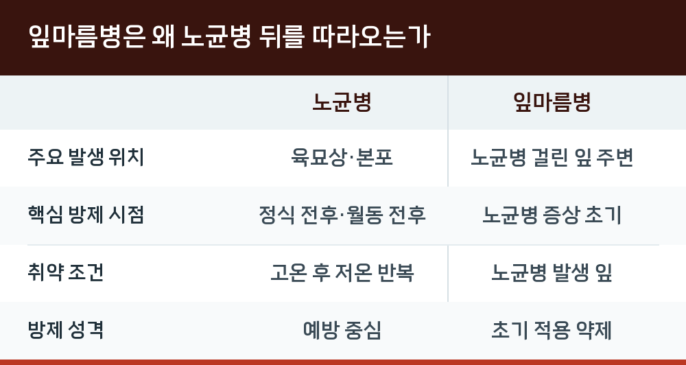 잎마름병은 왜 노균병 뒤를 따라오는가