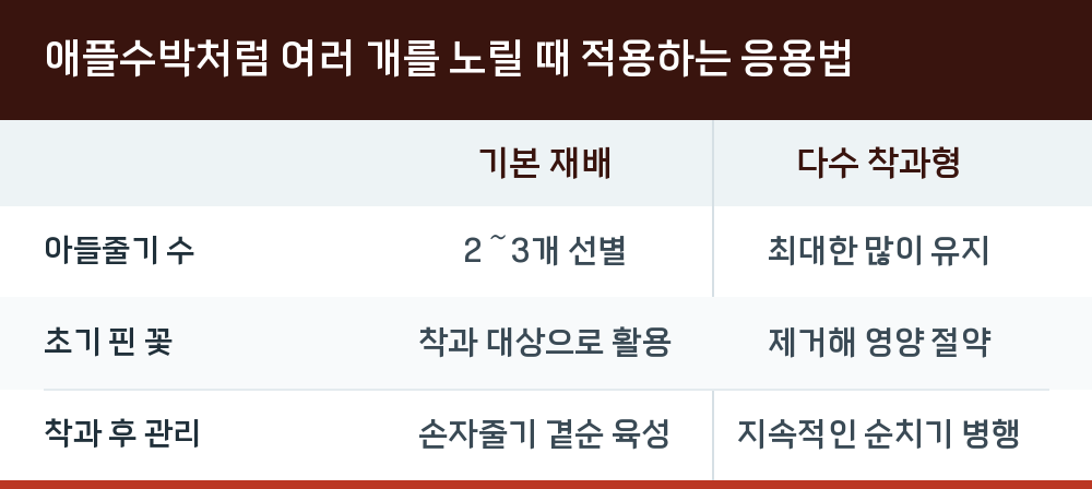 애플수박처럼 여러 개를 노릴 때 적용하는 응용법