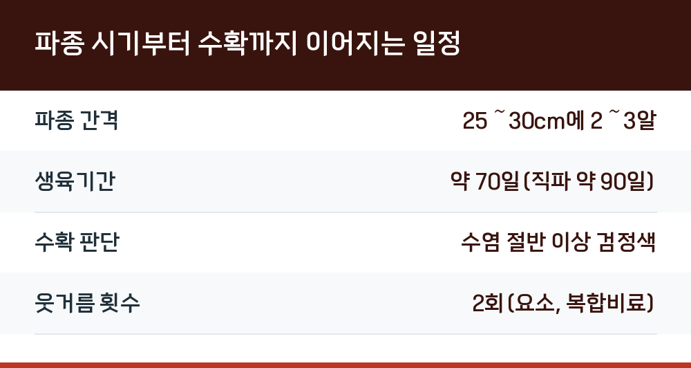 파종 시기부터 수확까지 이어지는 일정
