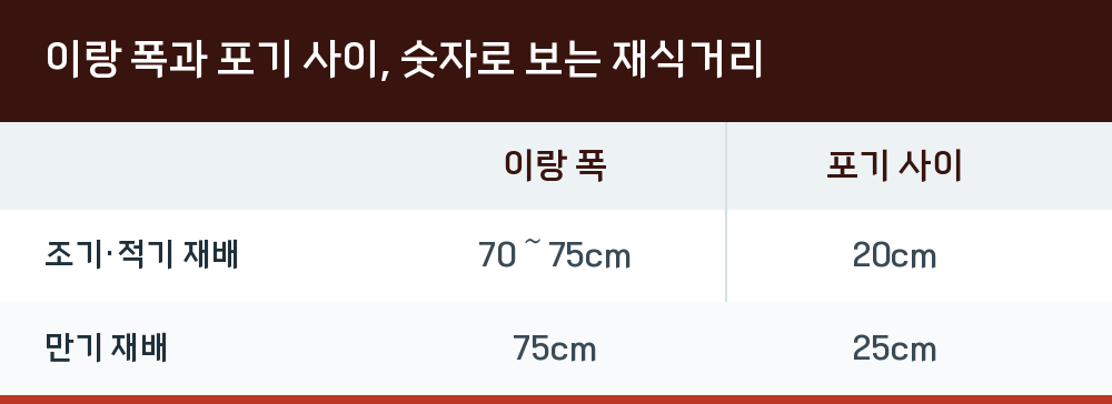 이랑 폭과 포기 사이, 숫자로 보는 재식거리