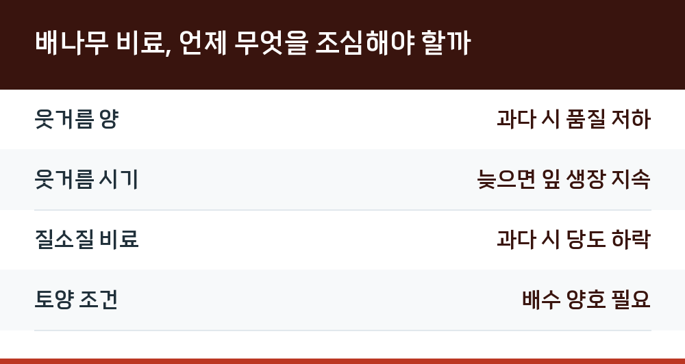 배나무 비료, 언제 무엇을 조심해야 할까