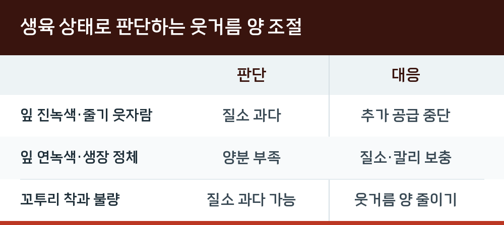 생육 상태로 판단하는 웃거름 양 조절