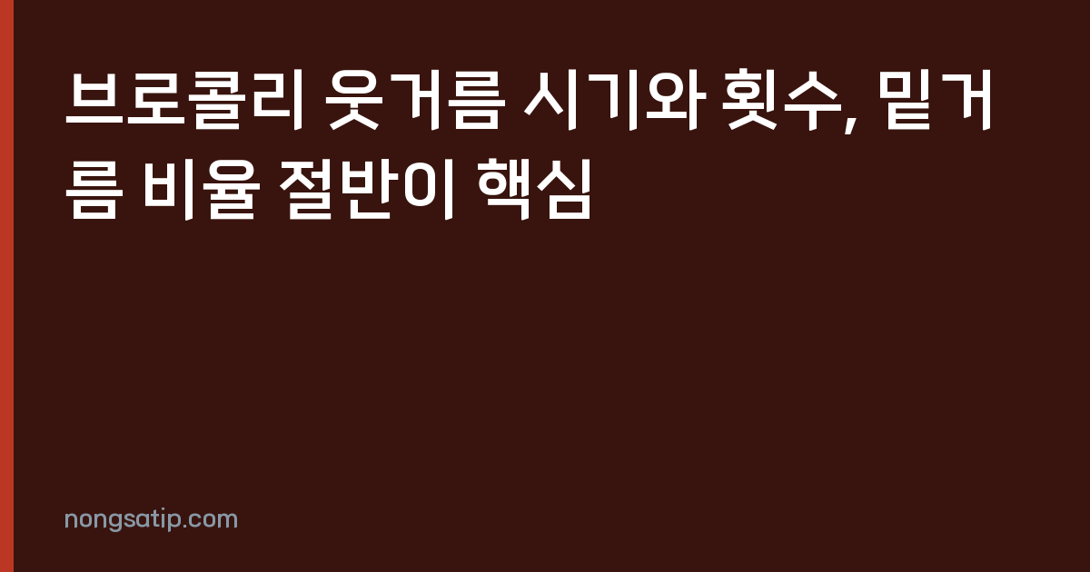 브로콜리 웃거름 시기와 횟수, 밑거름 비율 절반이 핵심