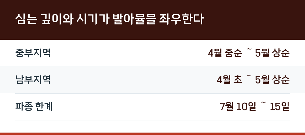 심는 깊이와 시기가 발아율을 좌우한다