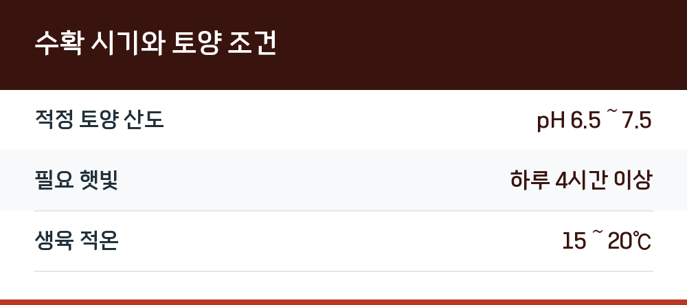 수확 시기와 토양 조건