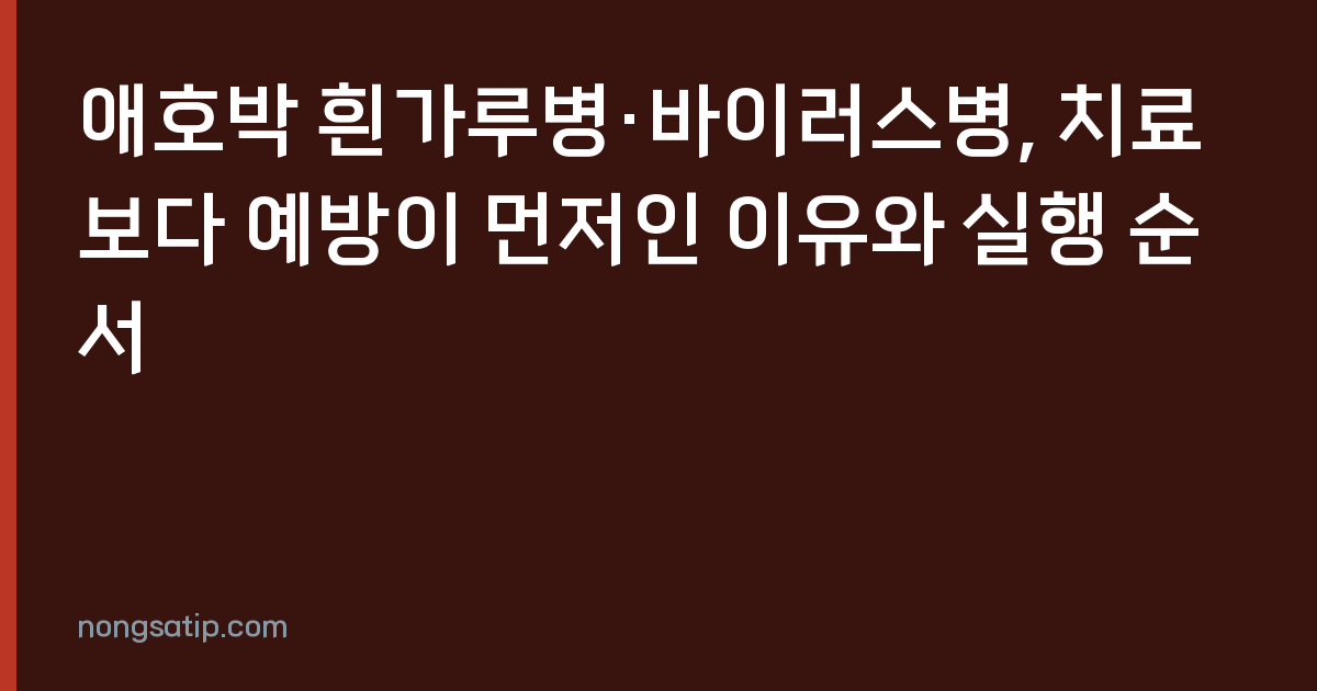 애호박 흰가루병·바이러스병, 치료보다 예방이 먼저인 이유와 실행 순서