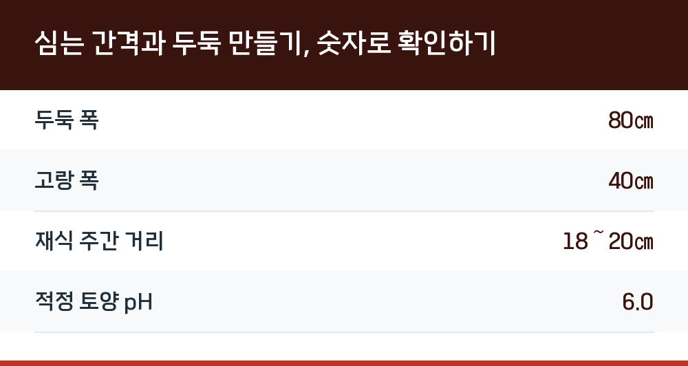심는 간격과 두둑 만들기, 숫자로 확인하기