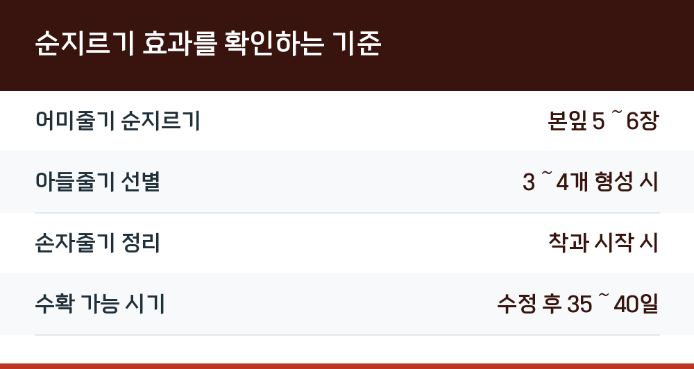 순지르기 효과를 확인하는 기준