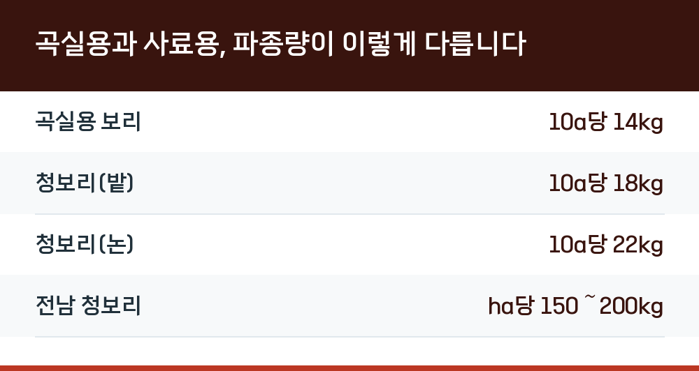 곡실용과 사료용, 파종량이 이렇게 다릅니다