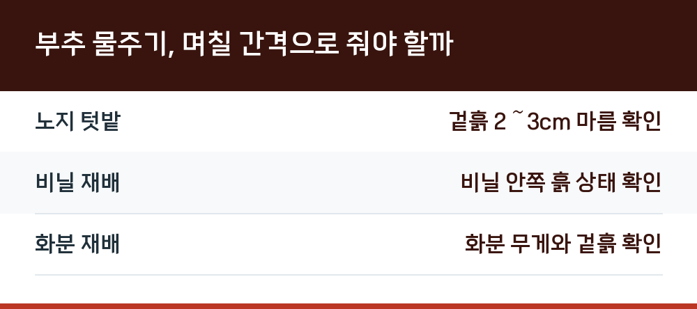 부추 물주기, 며칠 간격으로 줘야 할까