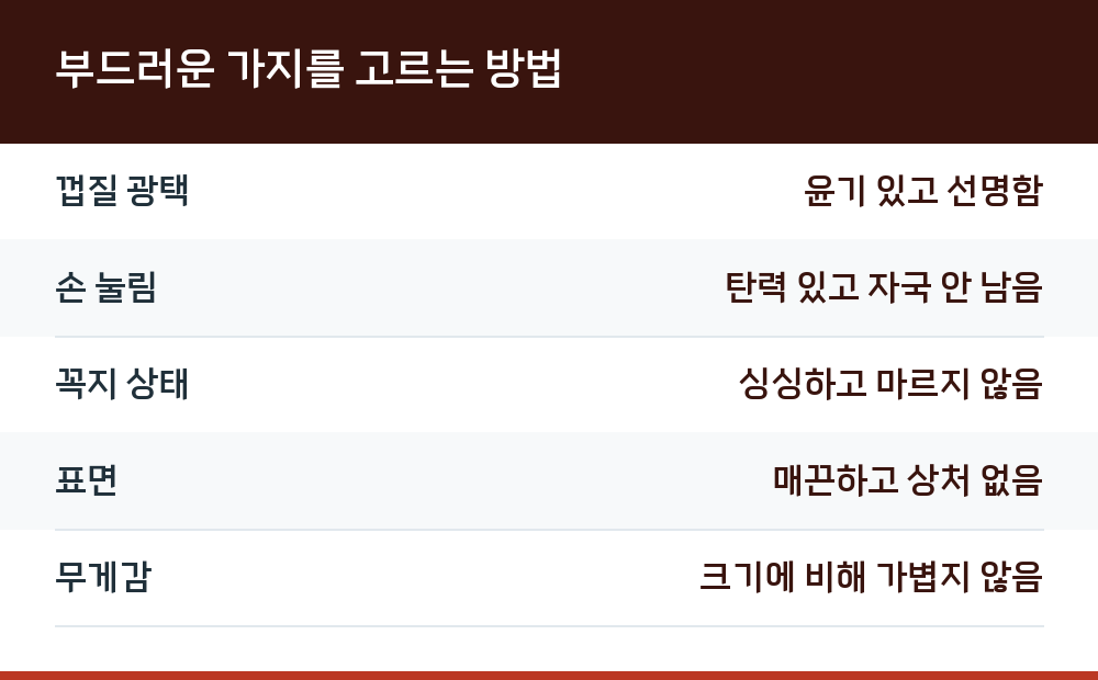 부드러운 가지를 고르는 방법