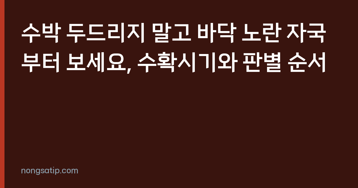 수박 두드리지 말고 바닥 노란 자국부터 보세요, 수확시기와 판별 순서