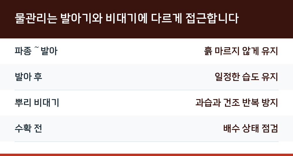 물관리는 발아기와 비대기에 다르게 접근합니다