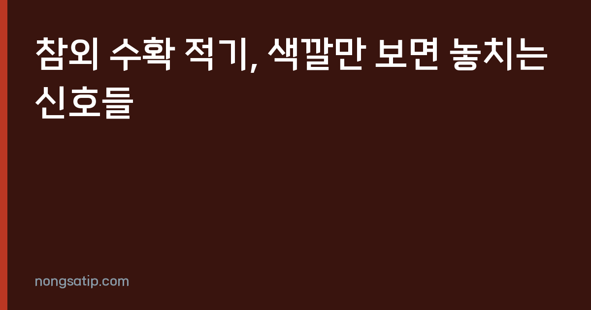 참외 수확 적기, 색깔만 보면 놓치는 신호들