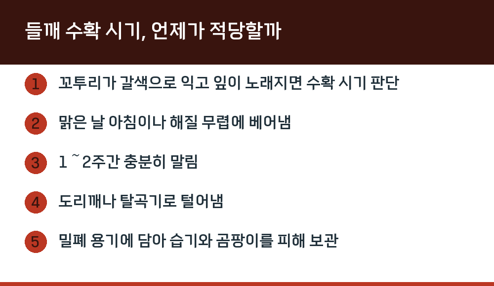 들깨 수확 시기, 언제가 적당할까
