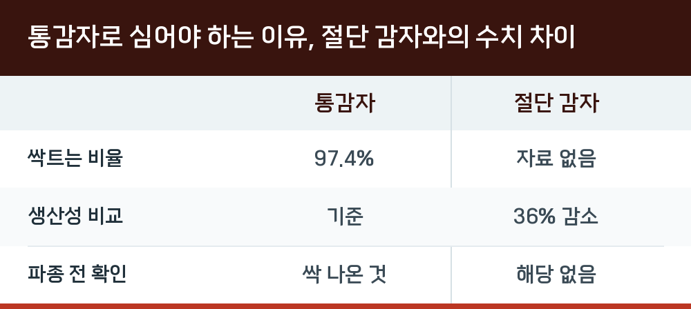 통감자로 심어야 하는 이유, 절단 감자와의 수치 차이