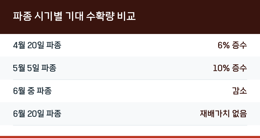 파종 시기별 기대 수확량 비교