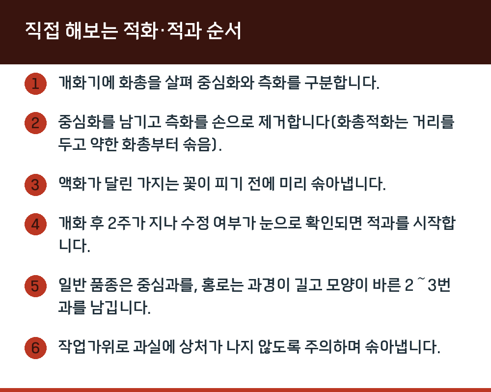 직접 해보는 적화·적과 순서