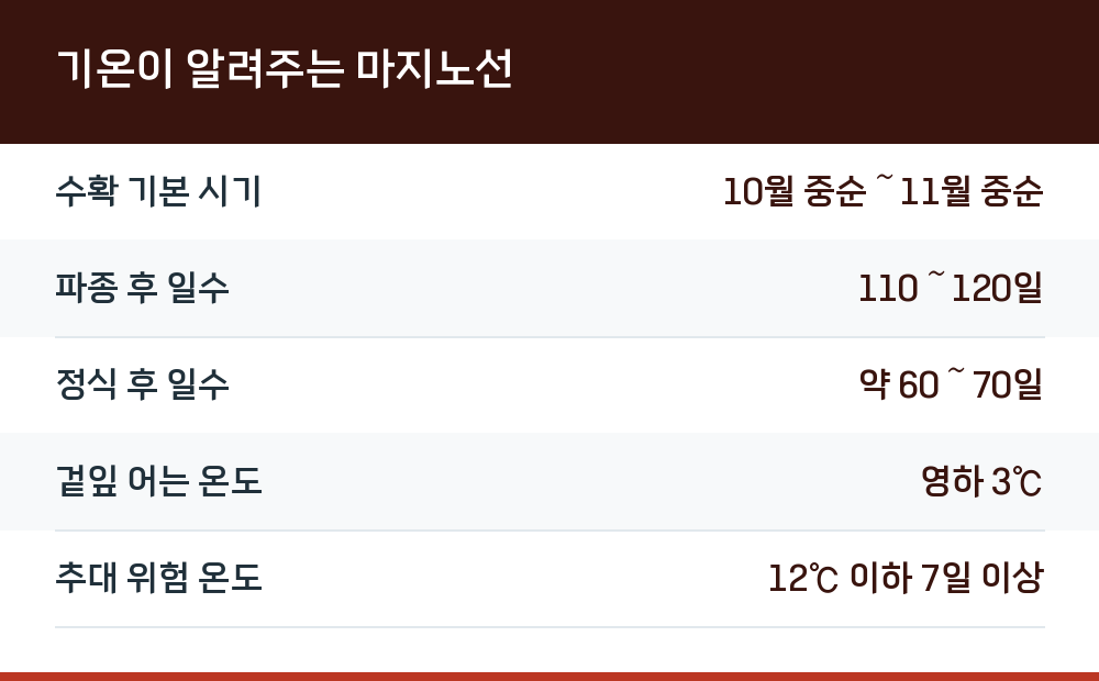 기온이 알려주는 마지노선