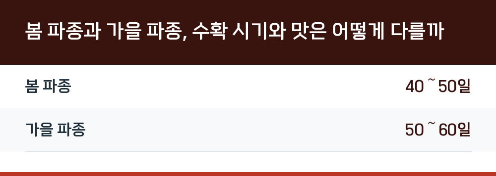 봄 파종과 가을 파종, 수확 시기와 맛은 어떻게 다를까