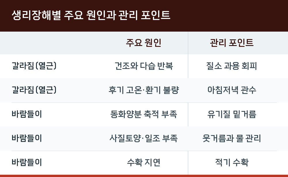 생리장해별 주요 원인과 관리 포인트