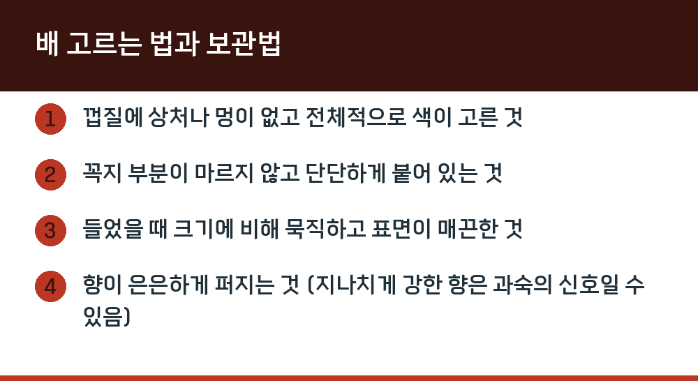 배 고르는 법과 보관법
