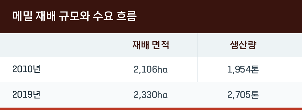 메밀 재배 규모와 수요 흐름