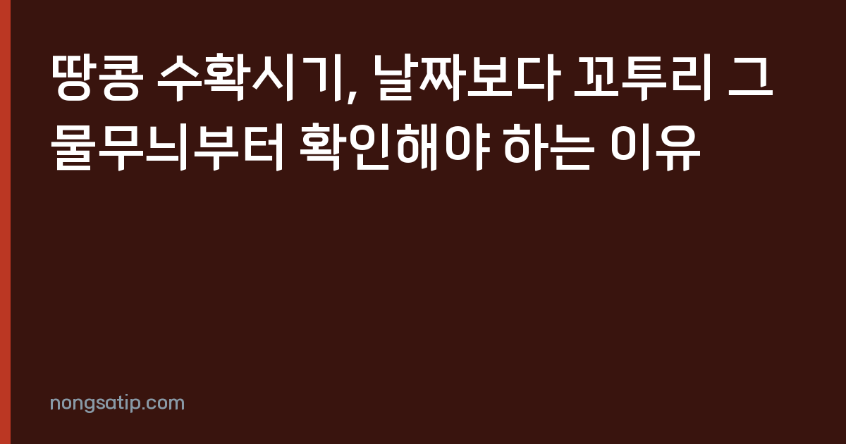 땅콩 수확시기, 날짜보다 꼬투리 그물무늬부터 확인해야 하는 이유