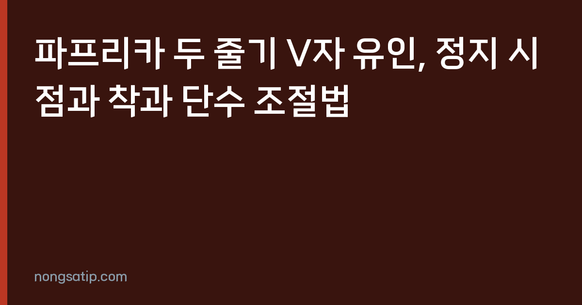 파프리카 두 줄기 V자 유인, 정지 시점과 착과 단수 조절법
