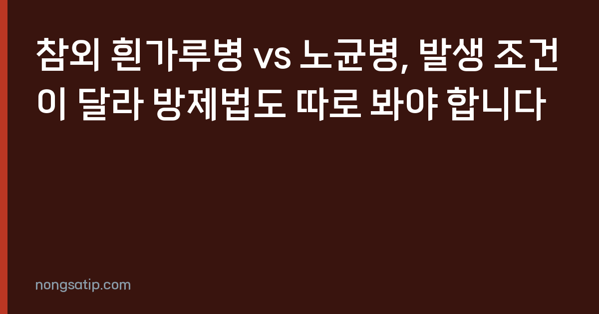 참외 흰가루병 vs 노균병, 발생 조건이 달라 방제법도 따로 봐야 합니다